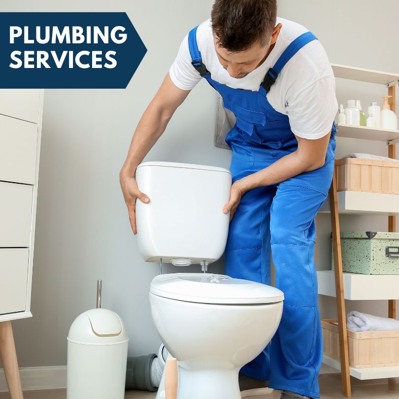 Plumbing Company in Elizaville, NY